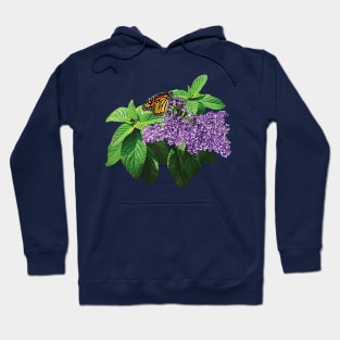 Heliotropes - Monarch Butterfly on Heliotrope Hoodie